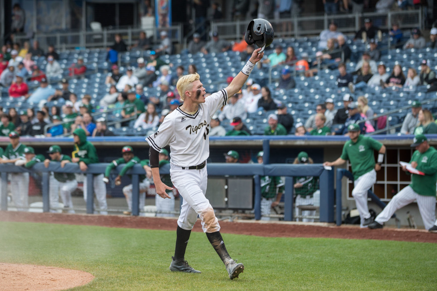 6A State Baseball Championship